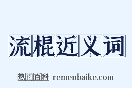 流棍近义词是什么意思的图片